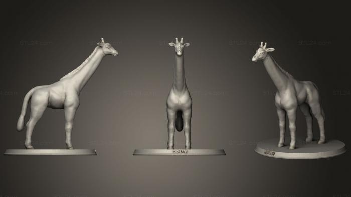 Статуэтки животных (Жираф, STKJ_1009) 3D модель для ЧПУ станка